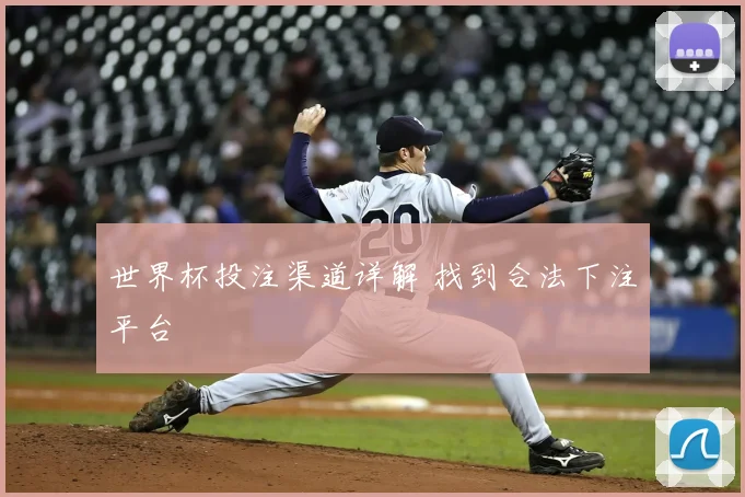 世界杯投注渠道详解 找到合法下注平台