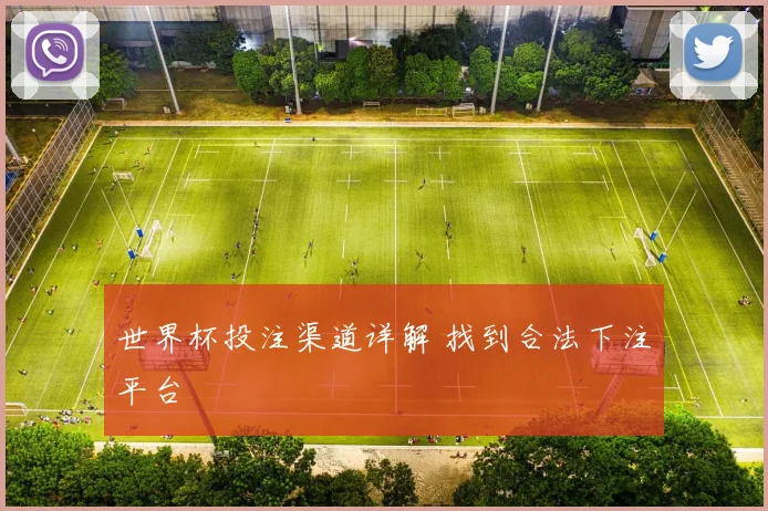 世界杯投注渠道详解 找到合法下注平台