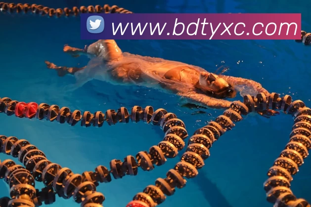 开云手机站登录入口 - 开云(中国)平台生态图